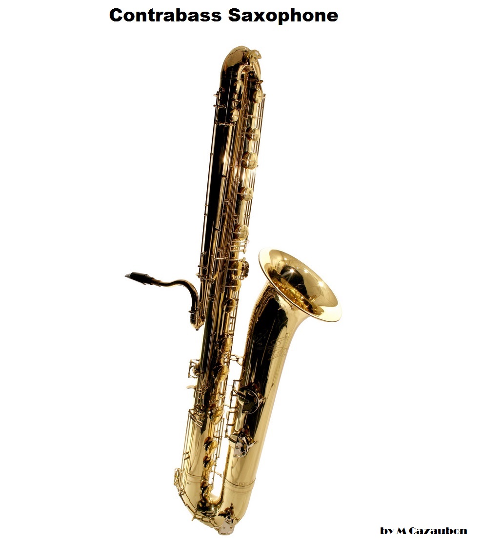 the-contrabass-saxophone